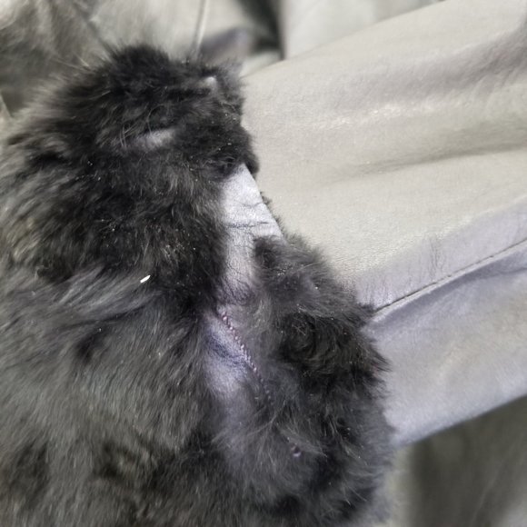 Evans Vintage S Leather Jacket Coat Penny Lane Style Fur Trim - Picture 5 of 14